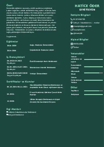 cv indir